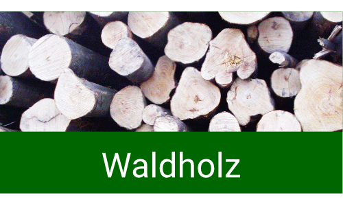 Holzeinkauf proNARO - Ihr Ansprechpartner für Waldholz